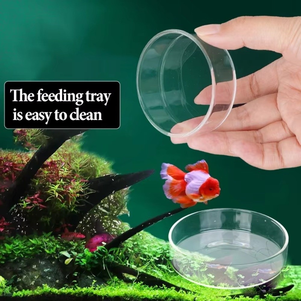 Baby Food Shrimp - Glazen aquariumvoerbak Duurzaam, helder, rond dienblad,